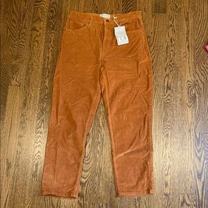 Everlane Rust Corduroy Pants